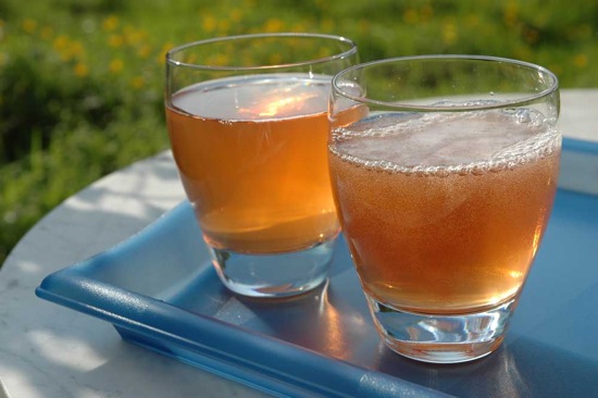 kombucha tea