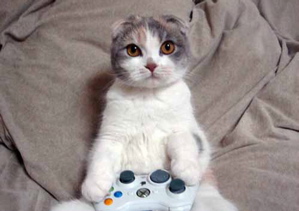 cat playing xbox mindfulness
