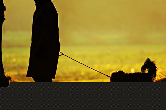 walking the dog at sunset