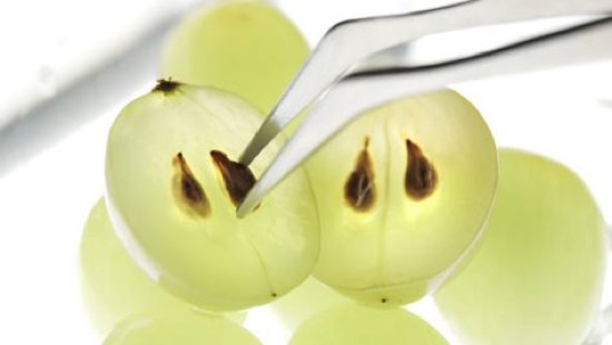 grape seed oil